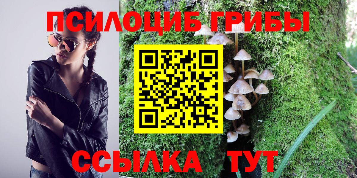 Гуково  Псилоцибиновые грибы MAGIC MUSHROOMS  Вход с VPN 