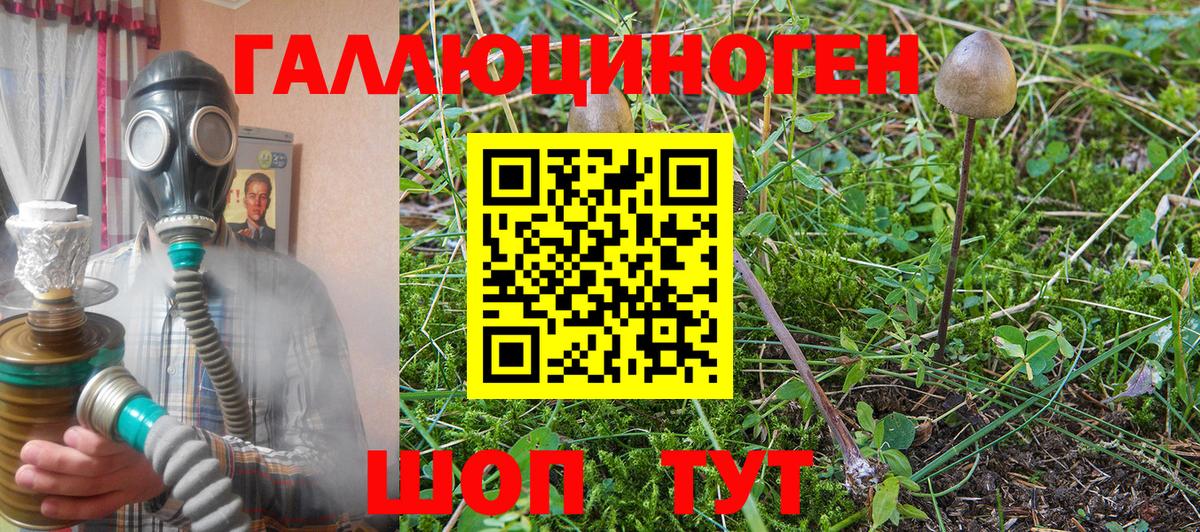 Псилоцибиновые грибы прущие грибы Гуково